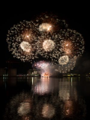 5930 Leif Alveen     Inauguration fireworks 048     